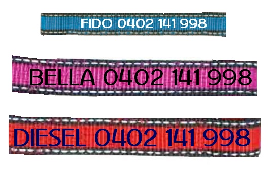 Dog Collars